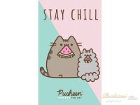 Malý dětský ručník 30x50 Kočička Pusheen Stay Chill